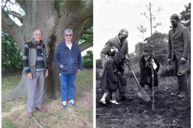 Stephen and Margaret at the oak tree in 2022, and planting it as children in 1953.