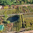 Todd's Nursery in Biggleswade