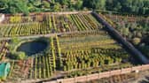 Todd's Nursery in Biggleswade