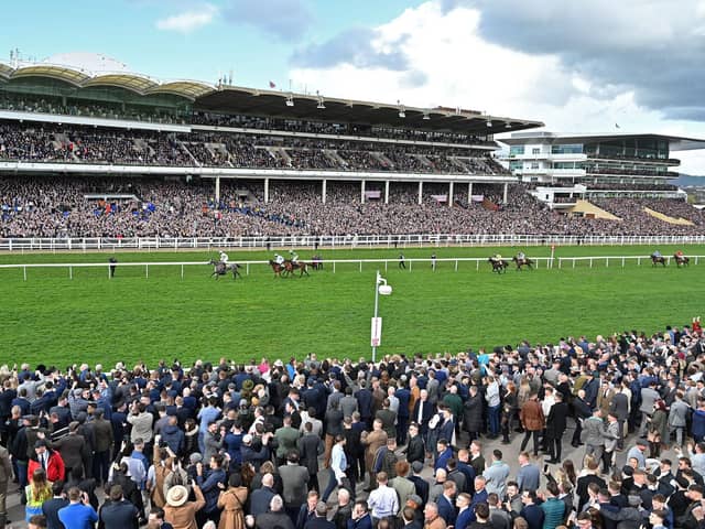 The stage is set for the 2024 Cheltenham Festival from Tuesday to Friday, with big crowds sure to relish the best Jumps racing in the world. Check out 20 of the best horses who could make the headlines.