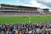 The stage is set for the 2024 Cheltenham Festival from Tuesday to Friday, with big crowds sure to relish the best Jumps racing in the world. Check out 20 of the best horses who could make the headlines.