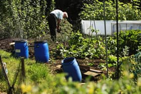 A man works his allotment.  (Photo by Daniel Berehulak/Getty Images)