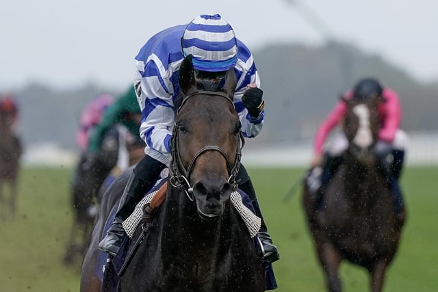 France is represented by its strongest team for many a year at this week's royal meeting, and it is spearheaded by this 4yo miler, who lit up Ascot last autumn with a sensational front-running win by six lengths in the Queen Elizabeth II Stakes. That was on testing ground, though, and after a bizarre change of trainer during the winter, the colt was well below par on his seasonal return last month. Can he bounce back in the first race of the week, the Queen Anne Stakes?