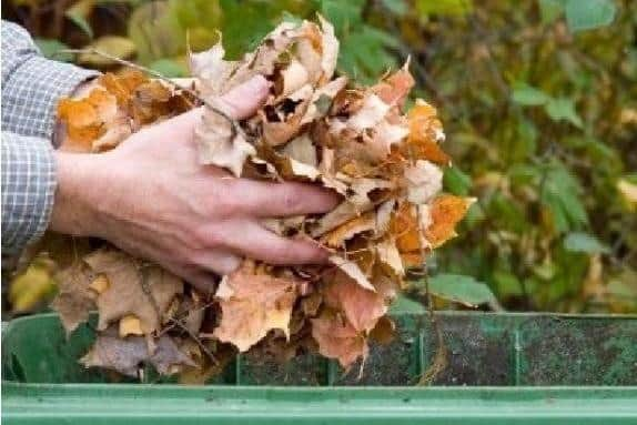 Garden waste collections restart in Central Beds from February 27