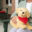 Robotic pet are being used to help care home residents