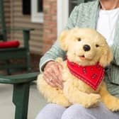 Robotic pet are being used to help care home residents