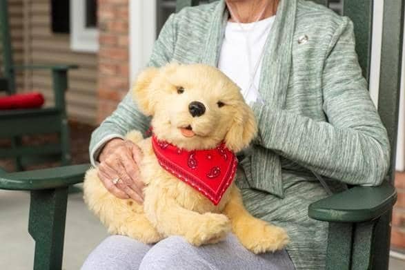 Robotic pet are being used to help care home residents