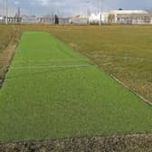 The all-weather cricket wicket
