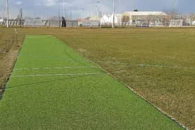 The all-weather cricket wicket