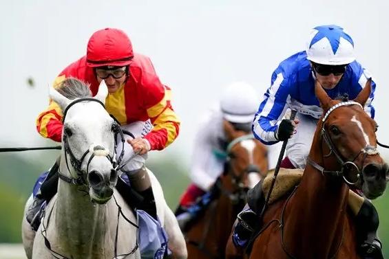 After finishing second in the Dante and third in the Derby, the 3yo season of this loveable grey, from the small Irish yard of John Joseph Murphy, did rather fizzle out. But he has returned better than ever this term, developing into a top-class colt, reeling off a hat-trick of successes and exacting revenge on his Epsom conqueror, Auguste Robin, for his first Group One prize. He meets that rival again in Wednesday's showpiece race, the Prince Of Wales's Stakes, and he should not be under-estimated.