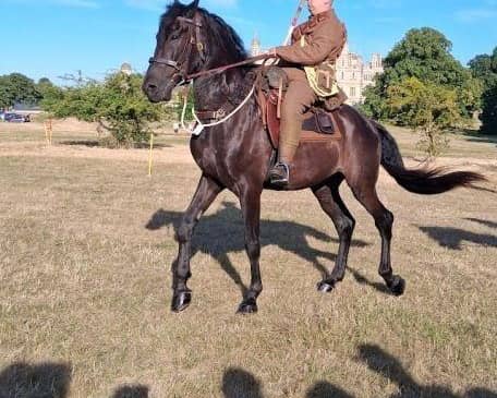 Worcestershire Cavalry