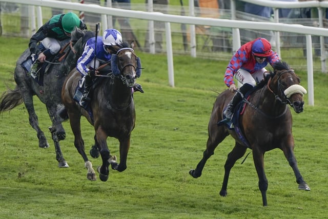 Unassuming trainer Mick Appleby's speedball made spectacular progress as a juvenile last season, which started with glory at the royal meeting and culminated with victory at the highest level in the Breeders' Cup in the USA. He now takes on the sprinting big boys in the King Charles III Stakes and although it won't be easy to blaze his customary trail against such experienced rivals, an easy win at York last month (pictured) proved he has trained on.