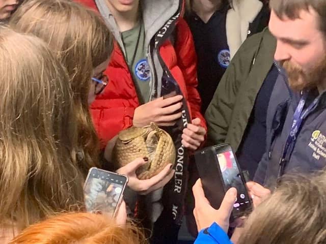 Pupils cuddle with the Shuttleworth College Armadillos.