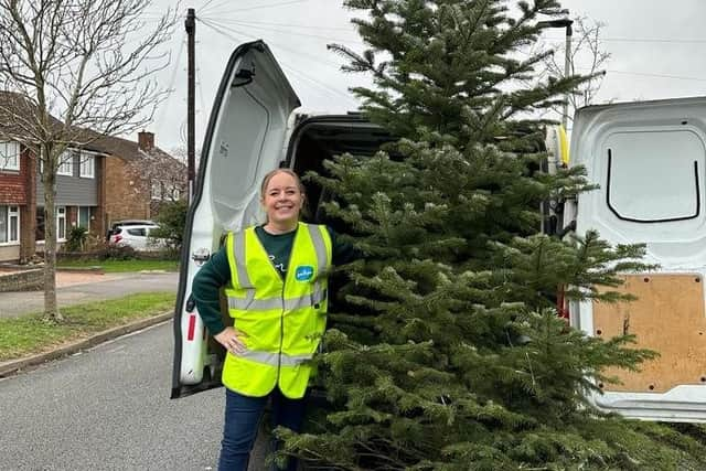 988 trees were collected through the Sue Ryder Treecycling in and around Bedfordshire scheme 