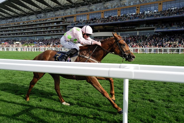 We're well used to Irish genius Willie Mullins dominating the Cheltenham Festival and all the other big Jumps meetings. But his record on the Flat, and indeed at Royal Ascot, is none too shabby either and he has Gold Cup glory on his radar this week with this versatile 6yo, owned by Rich Ricci, who won the 2022 Triumph Hurdle at the Festival and was fourth in last year's Champion Hurdle before winning a handicap at the royal meeting with ridiculous ease. A tilt at the Melbourne Cup Down Under backfired, but he shaped well on his comeback at York last month.