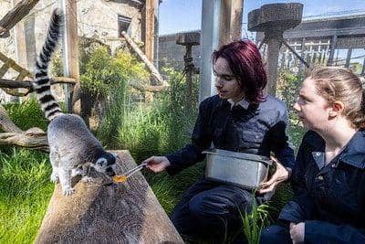 Interact with the animals.