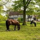 This house has a guide price of £2,250,000 (Picture courtesy of Fitzjohn Estates, Bedford)
