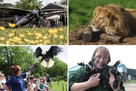 Here are just a few ideas for things to do this half term