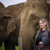 Elephant Encounter at Woburn Safari Park. Photo: WSP