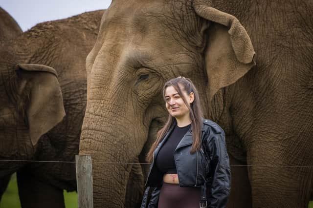 Elephant Encounter at Woburn Safari Park. Photo: WSP