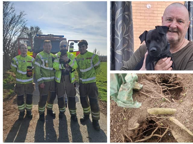 Pictures: Ozzie with some of the firefighters who rescued him; pictured with 'best buddy' Steve; the badget sett. Images supplied by Michelle Finn.