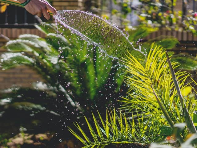 What do you do when there is a hosepipe ban? (photo: Unsplash)