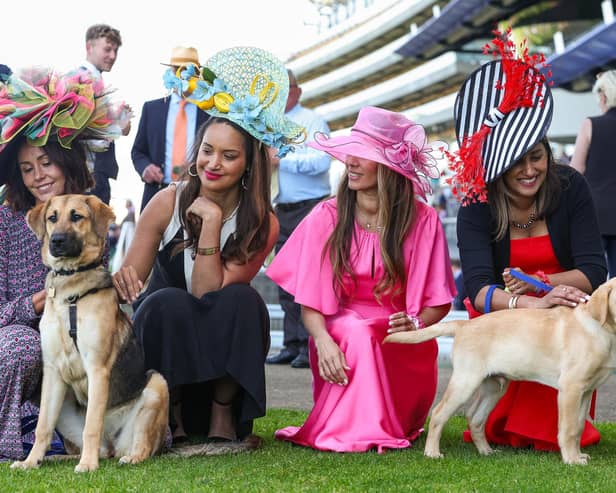 Guide dog puppies interact with racegoers wearing big hats at Ascot Racecourse, as part of their socialisation training to become comfortable around unusual headwear. Research from charity Guide Dogs reveals that dogs can be afraid of hats or objects on people’s heads, as they can make it harder for them to recognise even familiar individuals