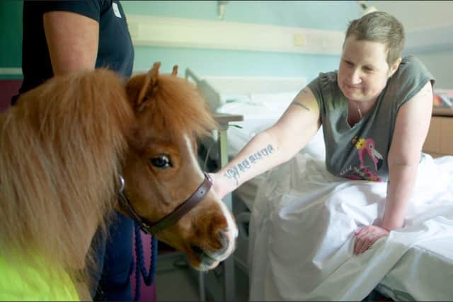 Hospice patient Sarah Woodhouse with one of the therapy ponies