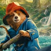 Paddington in Peru