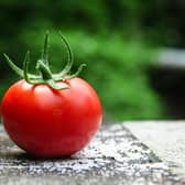 Image of a tomato