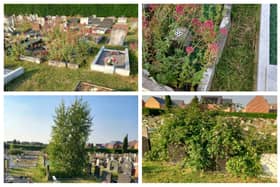 Pictures of Stratton Way Cemetery. Images: David Lincoln.
