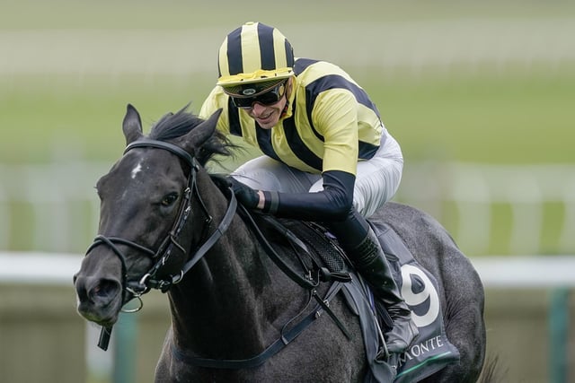 The flagbearer of the admirable training operation of father and son Simon and Ed Crisford, this powerful and pacy sprinter carried all before him last season when he was unbeaten in four outings, including two at the highest level. Friday's Commonwealth Cup has been his main target ever since and although he was disappointing in his seasonal pipe-opener at Haydock, he is expected to strip a lot fitter for that run and has reportedly been working very well on the Newmarket gallops.