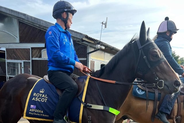 Australian raiders have landed seven Royal Ascot races since 2000, and their best hope this time round probably lies with Melbourne trainer Henry Dwyer's five-year-old sprinter, who contests the newly-named King Charles III Stakes (formerly the King's Stand) on the opening day. The mare has yet to win a Group One but her form is strong and the stiff track is expected to suit. She's been over here since April as part of meticulous preparation and the brilliant Oisin Murphy has been booked to ride.