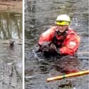 The rescue. Image: Shefford Community Fire Station.