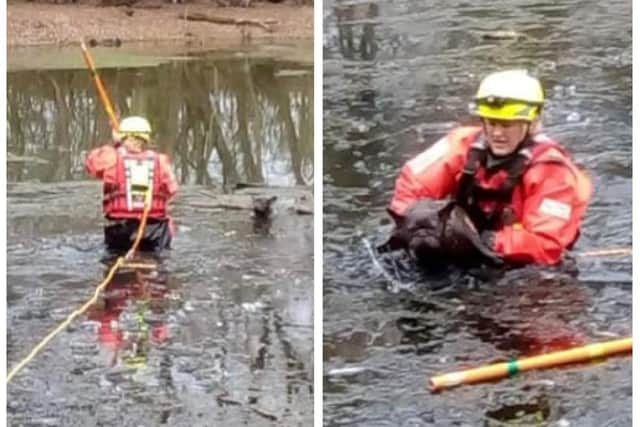 The rescue. Image: Shefford Community Fire Station.