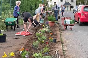 The community garden which residents say will be destroyed by heavy machinery