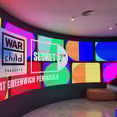 Project screen