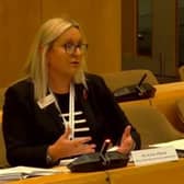Anna Villette at Bedfordshire Police and Crime Panel on Tuesday, November 7. Picture: Bedfordshire Police and Crime Panel
