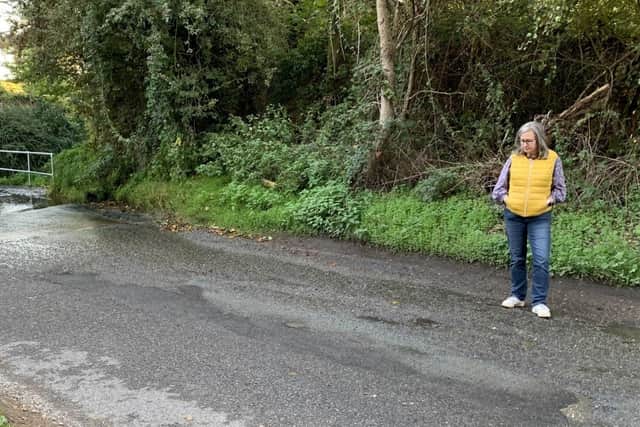 Councillor Wye inspects a local road in Sutton. Image: Cllrs Wye and Zerny.