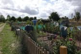 Allotments in Biggleswade. Image supplied.