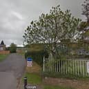 A tiny forest has been planted at Brooklands Middle School in Leighton Buzzard - Google maps