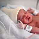 A new-born baby lies in an incubator moments after her birth at a maternity ward  (Photo by CHRISTOPHE ARCHAMBAULT/AFP via Getty Images)