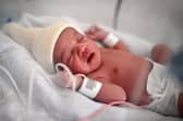 A new-born baby lies in an incubator moments after her birth at a maternity ward  (Photo by CHRISTOPHE ARCHAMBAULT/AFP via Getty Images)