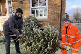 Amey volunteers collecting trees