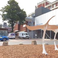 Plans for Bedford Hospital treatment hub step forward - but could take 15 years to complete