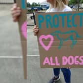 A protester outside Henlow Greyhound Stadium