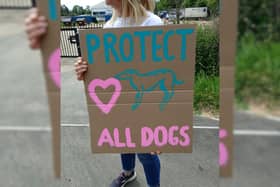 A protester outside Henlow Greyhound Stadium