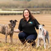 Jo Middleton is issuing this urgent warning - Animal News Agency