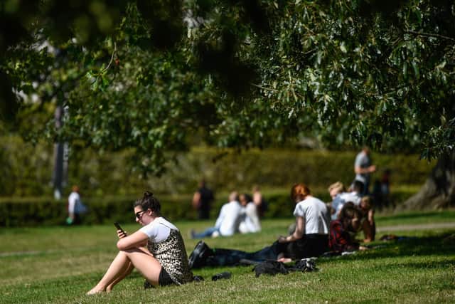 People enjoying a park on a warm day.