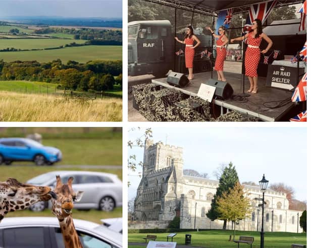 Clockwise from top left: Dunstable Downs; RAF Twinwood; Dunstable Priory; giraffes at Woburn Sarafi Park. Images supplied by: National World; RAF Twinwood, and Woburn Safari Park.